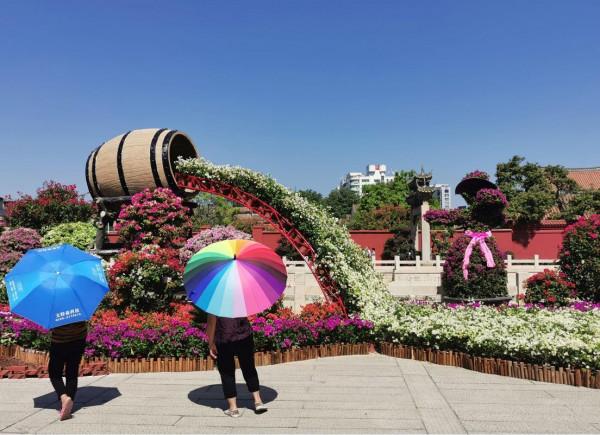 歲歲重陽，今又重陽