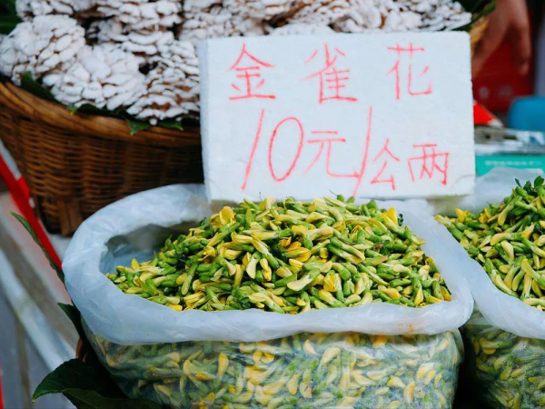 這野菜有肉的口感，頭茬採摘能賣50元&sol;斤，煎雞蛋很美味，認識嗎