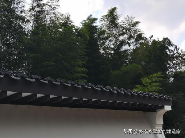 坐於湖邊藍天下,享受垂釣之樂,這是我不得不回農村的理由 坐於湖邊藍天下,享受垂釣之樂,這是我不得不回農村的理由