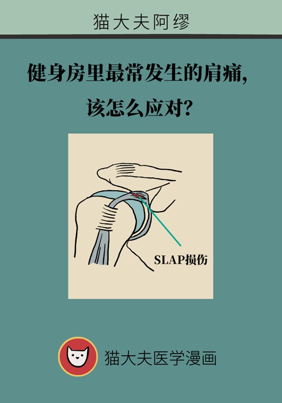 健身房裡最常發生的肩痛，該怎麼應對？