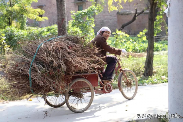 這才是真實的十月鄉村，純樸而美好，看後彷彿回了一次老家