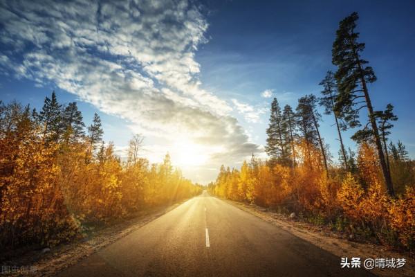 大媽坐過站，竟然搶奪方向盤，不幸摔成植物人！（身邊故事）