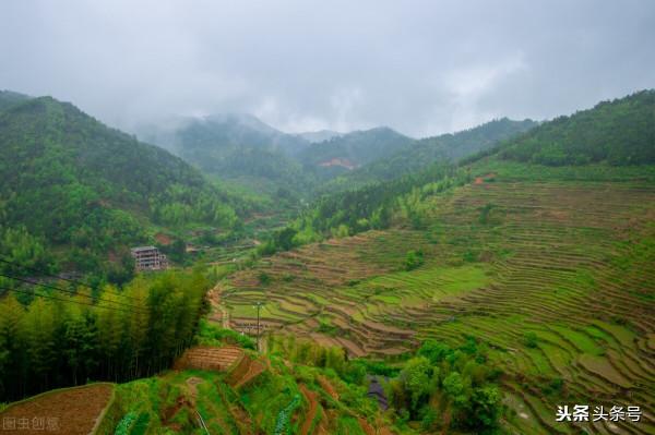 農村土地廣闊,合理利用效益最大化,哪幾種種植模式卻備受歡迎? 農村土地廣闊,合理利用效益最大化,哪幾種種植模式卻備受歡迎?