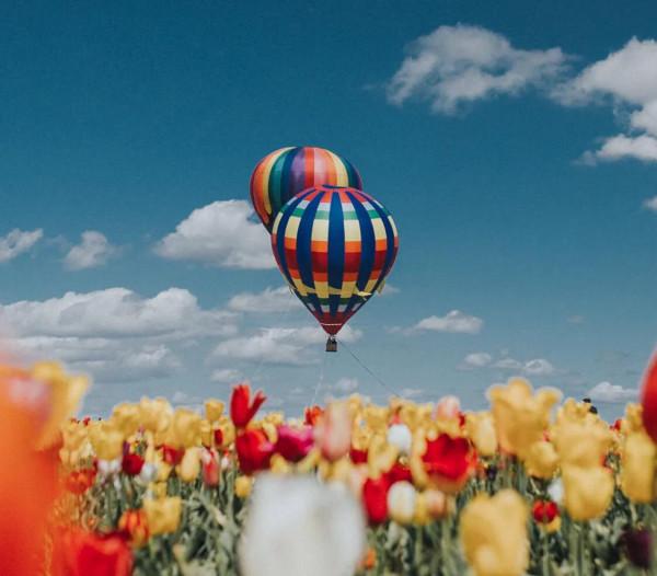 測一測你的氣質有多出眾