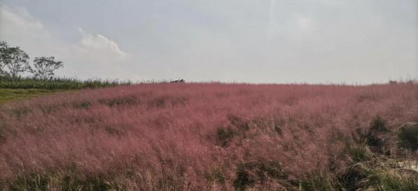 淄川南部森林公園