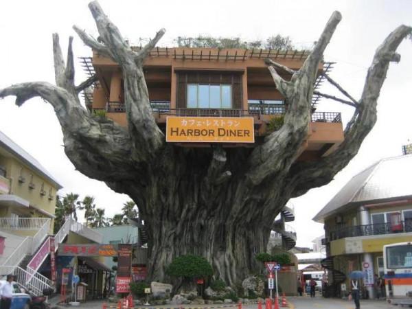 這24張照片告訴你，“日本”的奇特文化