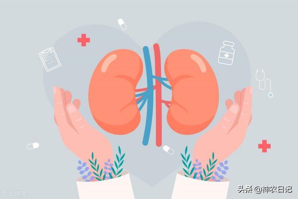 29歲男子從發現泡沫尿到尿毒症僅3年，醫生：只因忽視了這3點