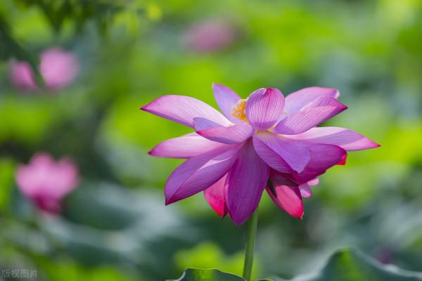 湖北冷知識：推薦湖北這23個世界之最和中國之最，你還知道哪些？