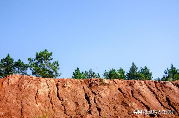 從廣東南雄出發,去看有1680多年的最美銀杏林,這裡全攻略如何玩 從廣東南雄出發,去看有1680多年的最美銀杏林,這裡全攻略如何玩