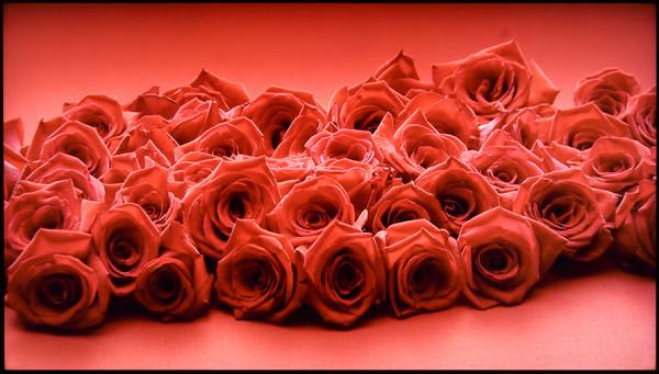 TCL 98英寸IMAX Enhanced巨幕智屏評測：把電影院搬回家