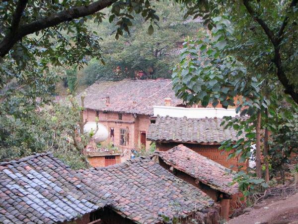 最後的採燕窩人：貴的一斤2萬6，兒子寧願打工也不學