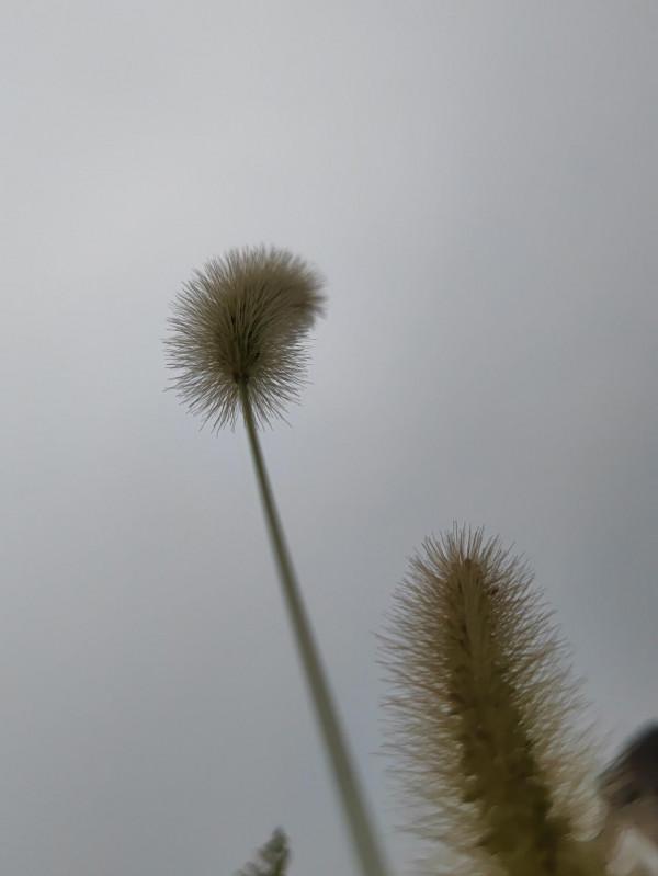 榮耀 Magic 3 至臻版攝影精選（二）