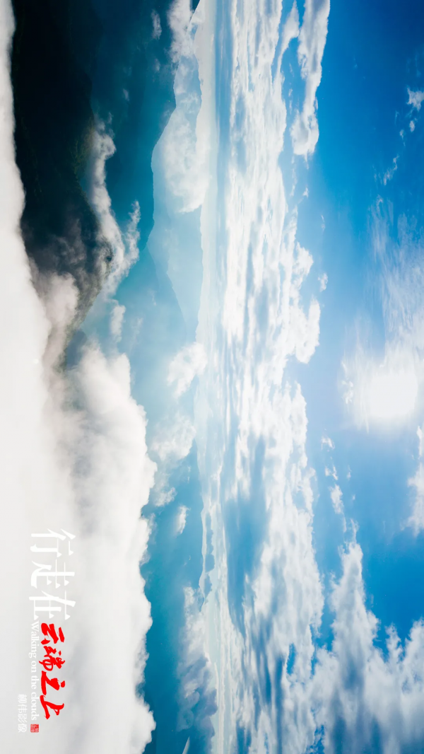 旋轉手機90° →哇！平利正陽雲端草甸這麼美嗎！