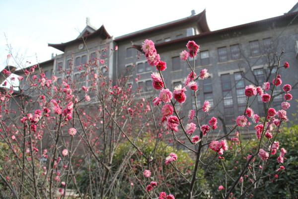山東大學臨床醫學專業在各省的錄取分數來了