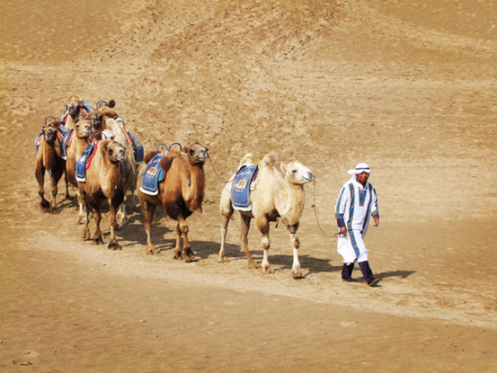 茶文化是這樣在唐詩宋詞中傳播的
