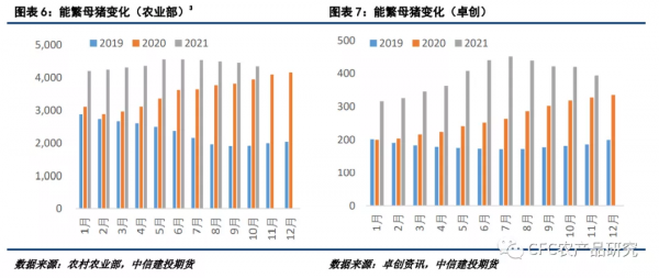「2022生豬年報」告別非瘟時代，紅海逐浪而行