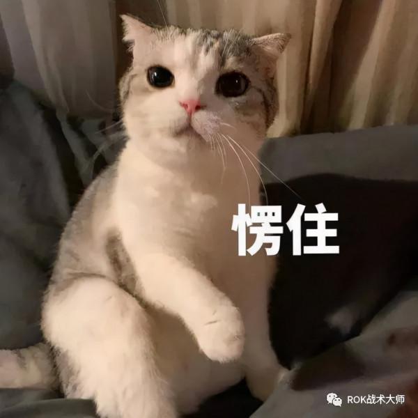 萬國覺醒丨首飾選擇和不同場景的使用