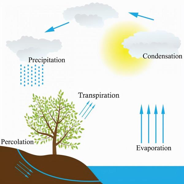 太陽熱量如何到達地球?為什麼陰雲密佈時感受不到溫暖? 太陽熱量如何到達地球?為什麼陰雲密佈時感受不到溫暖?