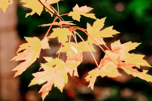 人類為什麼會有煩惱?煩惱又是如何產生的呢?易經早就有答案 人類為什麼會有煩惱?煩惱又是如何產生的呢?易經早就有答案