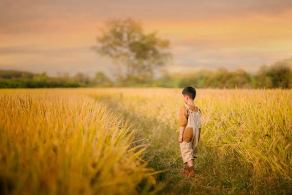 有遠見的父母，懂得培養孩子的這3種能力