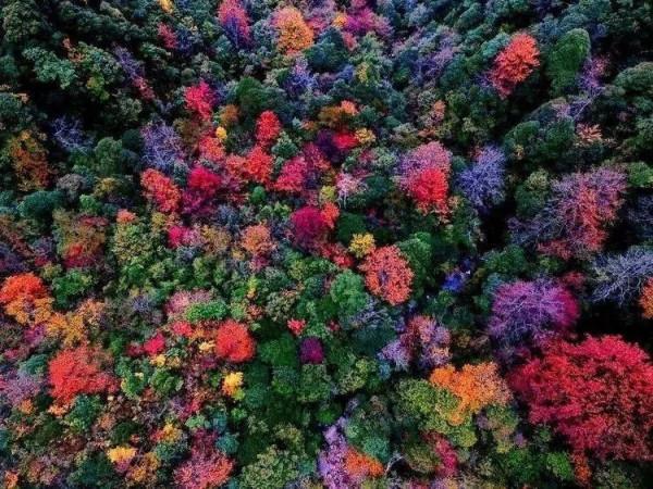 「打卡湖南」你瞧,湖南的秋天都在這 「打卡湖南」你瞧,湖南的秋天都在這
