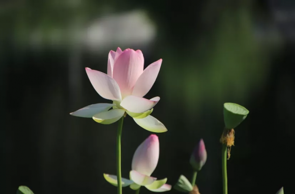 好的人生,就在一來一往中 好的人生,就在一來一往中