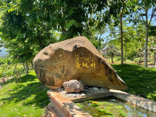 嚮往的生活蘑菇屋收費參觀，20元一人還送果汁，小院實在太美了