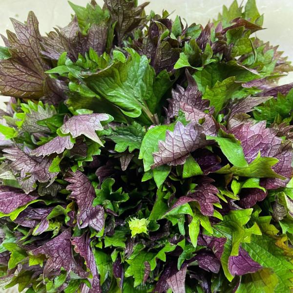 我在雲南做廣西家常菜——紫蘇檸檬鴨