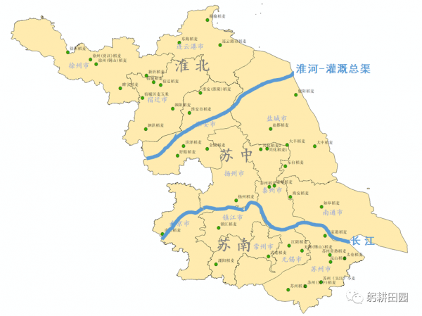小麥返青期苗情綜合研判及田管建議
