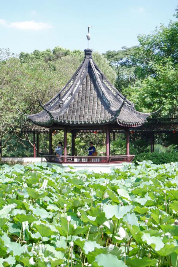 這裡被稱為“上海之根”，也是上海唯一的山區，有6000多年曆史