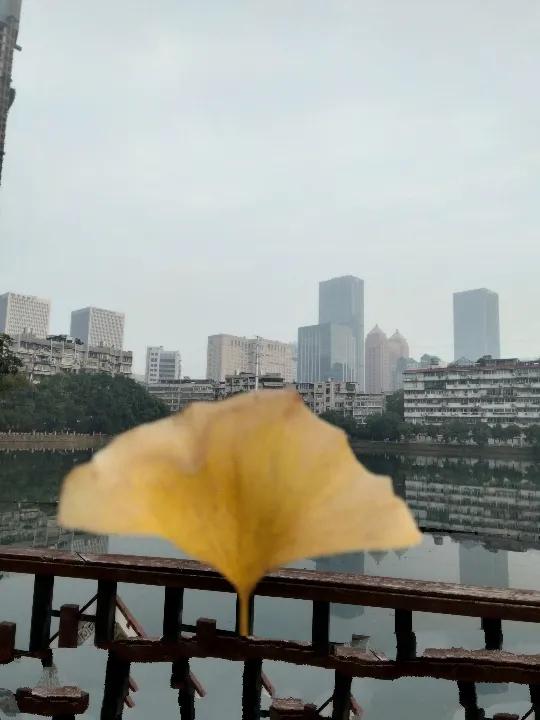 只要我們沒放棄，夢想雖然會遲到，但不會缺席