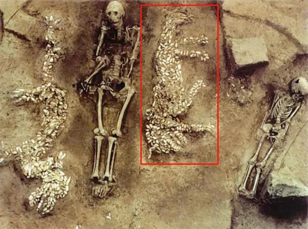 經歷了上百個虎年，虎是怎樣從猛獸變成&OpenCurlyDoubleQuote;萌&rdquo;獸的？