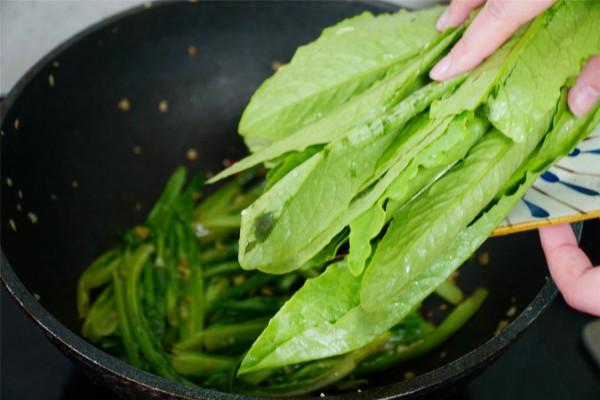 開春了，記得多吃油麥菜，每週堅持吃幾次，很多人還不知道有啥用
