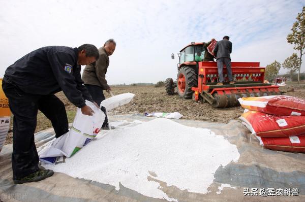 小麥底肥、追肥，用什麼肥料好？每畝用量多少？照著配方做就行