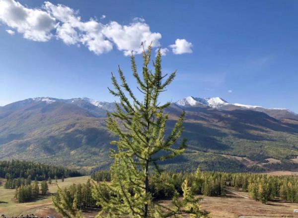 盤點新疆北疆旅遊十大必去景點（3）：“人間淨土”喀納斯