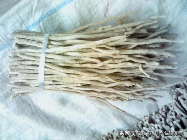 近期價格屢創新高的中藥材品種 近期價格屢創新高的中藥材品種