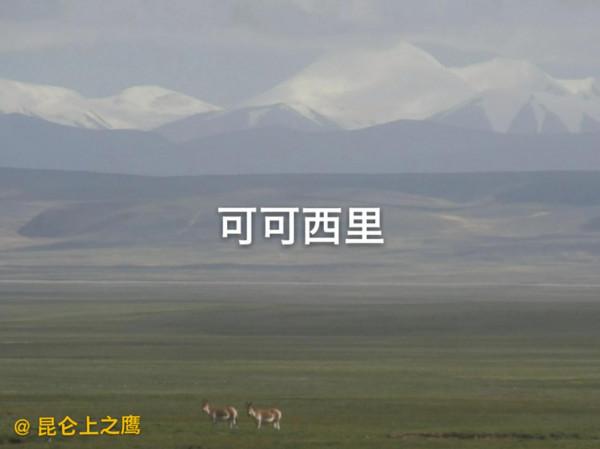 可可西里&mdash;&mdash;&OpenCurlyDoubleQuote;美麗的少女&rdquo;