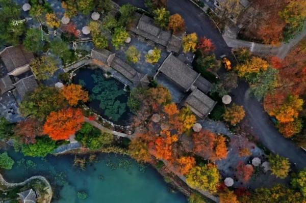 漫遊皖美秋色｜閱盡秋色，美在安徽