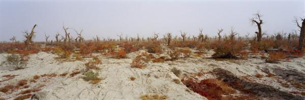 臨卦六三爻辭釋義 臨卦六三爻辭釋義