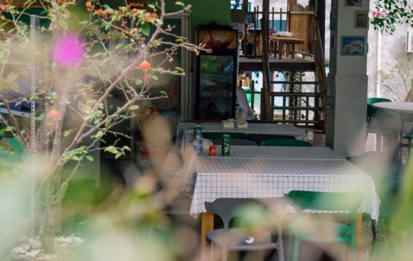 一個人來北海看海了 一個人來北海看海了