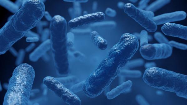 用病毒打敗癌症，開創癌症新療法