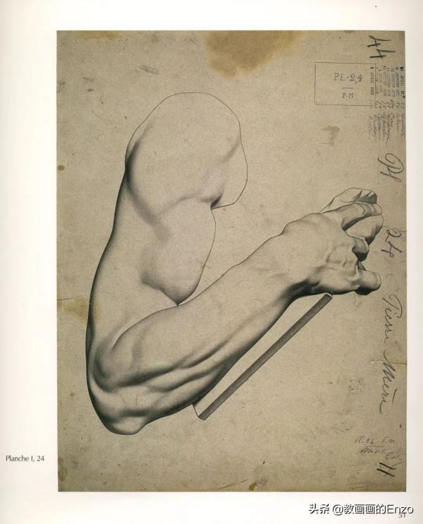 155年前,世界上第一本系統素描教程「非常珍貴」 155年前,世界上第一本系統素描教程「非常珍貴」