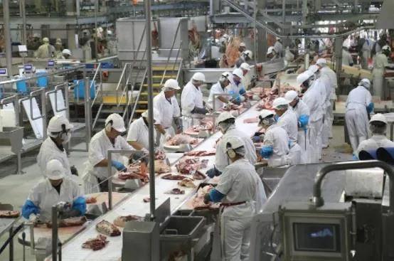 突發！中國宣佈對澳新禁令！暫停第9家澳洲合作肉廠