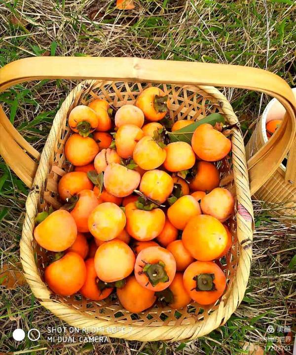 西山不只是一座山 西山不只是一座山