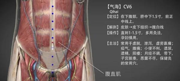 氣海穴—補氣養氣保健要穴 氣海穴—補氣養氣保健要穴