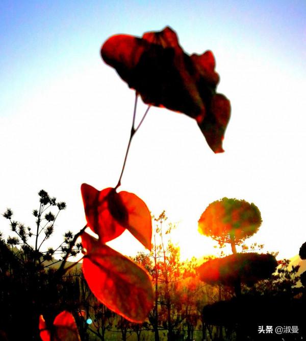 君有奇才我不貧 君有奇才我不貧