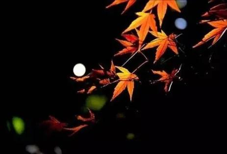 步韻詩·秋思懷遠