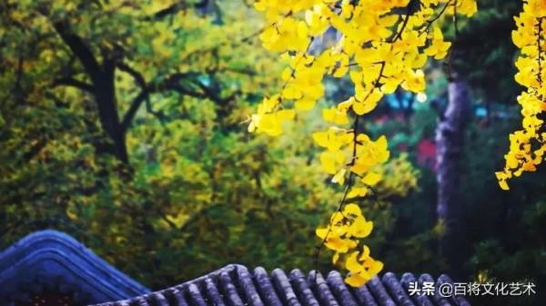 段共生「將軍書法」卻道天涼好個秋 段共生「將軍書法」卻道天涼好個秋