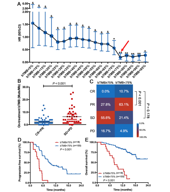 Molecular Cancer | 治療期bTMB可作為晚期肺鱗癌患者卡瑞利珠單抗聯合化療的預測性生物標誌物 Molecular Cancer | 治療期bTMB可作為晚期肺鱗癌患者卡瑞利珠單抗聯合化療的預測性生物標誌物