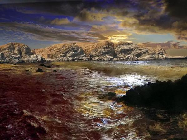 海洋的景色，真美